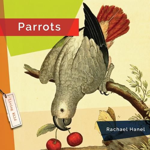 Parrots