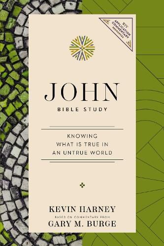 Cover image for John Bible Study
