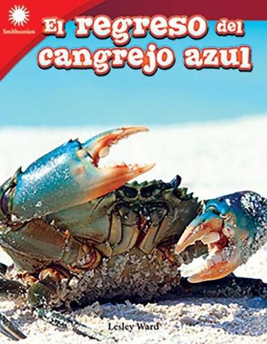 Cover image for El regreso del cangrejo azul (Blue Crab Comeback)