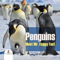 Cover image for Penguins - Meet Mr. Flappy Feet