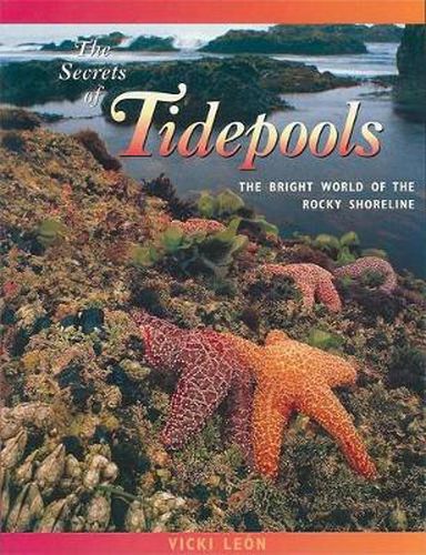 Cover image for The Secrets of Tidepools: The Bright World of the Rocky Shoreline