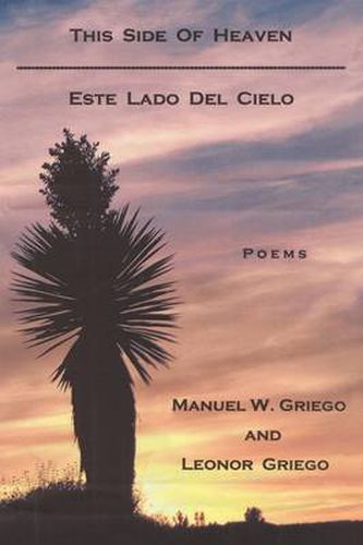 Cover image for This Side of Heaven