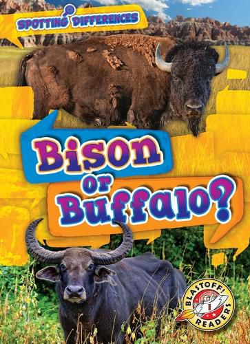 Cover image for Bison or Buffalo?