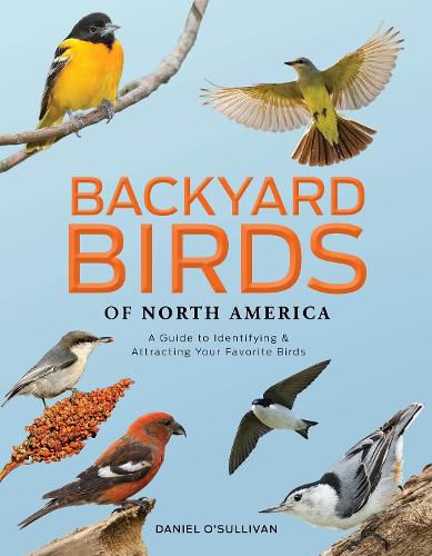 Cover image for Backyard Birds of North America