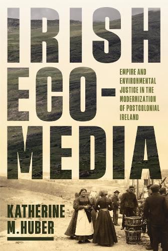 Cover image for Irish Ecomedia