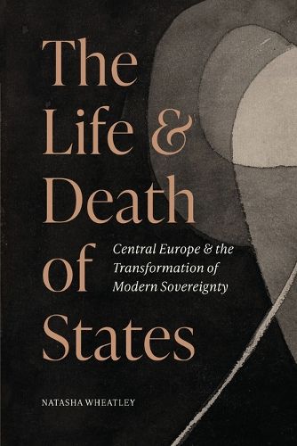 Cover image for The Life and Death of States