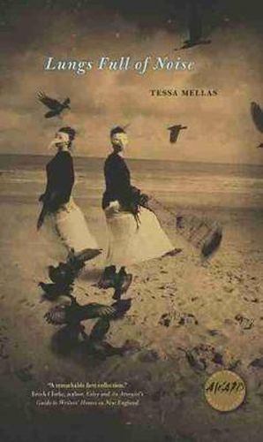 Cover image for Lungs Full of Noise