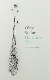 Cover image for Hurricane Watch: New and Collected Poems