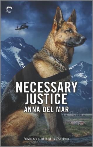 Cover image for Necessary Justice