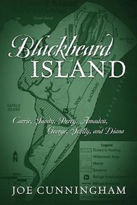 Cover image for Blackbeard Island
