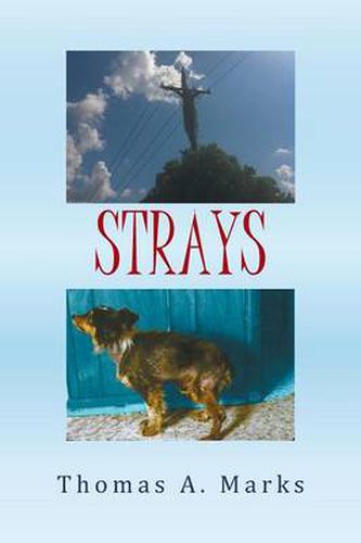 Strays