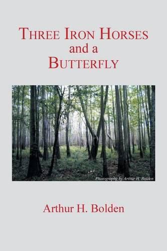 Cover image for Three Iron Horses and a Butterfly