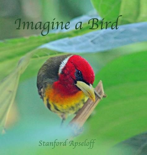 Cover image for Imagine a Bird