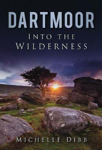 Cover image for Dartmoor: Into the Wilderness