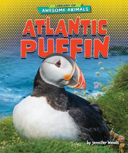 Atlantic Puffin