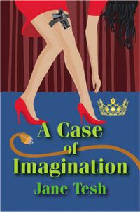 Cover image for A Case of Imagination: A Madeline Maclin Mystery