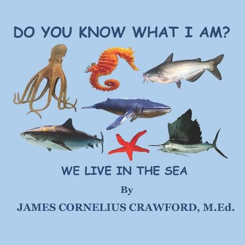 Cover image for Do You Know What I Am?: We Live in the Sea.