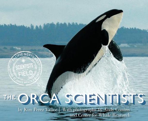 Cover image for Orca Scientists