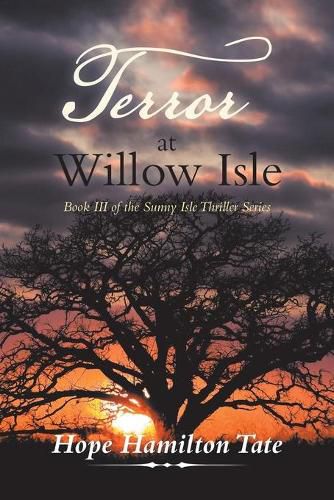 Cover image for Terror at Willow Isle