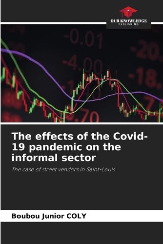 Cover image for The effects of the Covid-19 pandemic on the informal sector