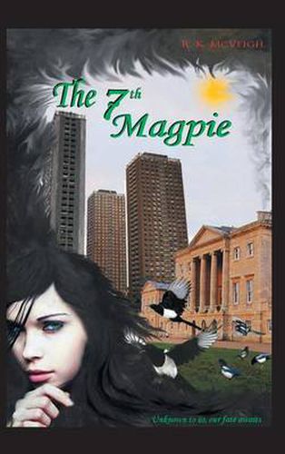 Cover image for The 7th Magpie