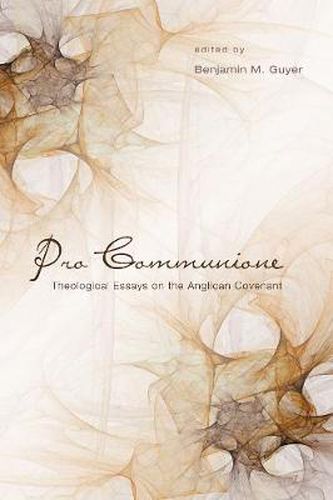 Cover image for Pro Communione: Theological Essays on the Anglican Covenant