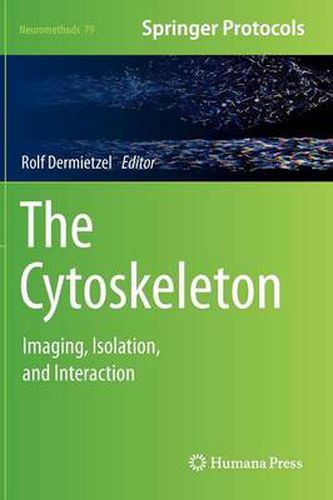 Cover image for The Cytoskeleton: Imaging, Isolation, and Interaction