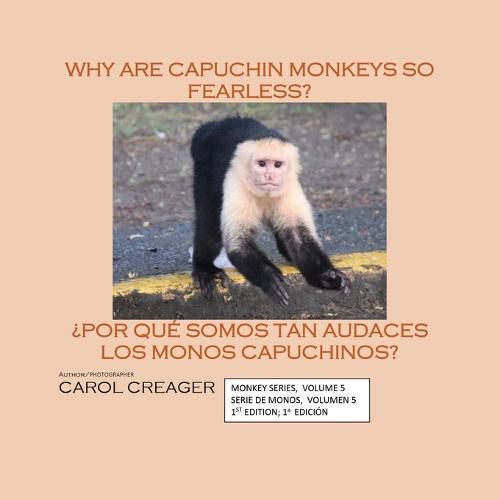 Why Are Capuchin Monkeys So Fearless