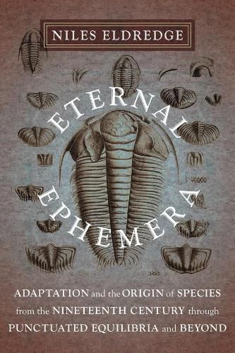 Eternal Ephemera: Adaptation and the Origin of Species from the Nineteenth Century Through Punctuated Equilibria and Beyond