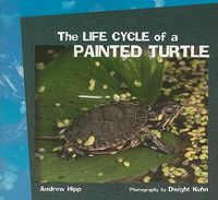 Cover image for The Life Cycle of a Painted Turtle