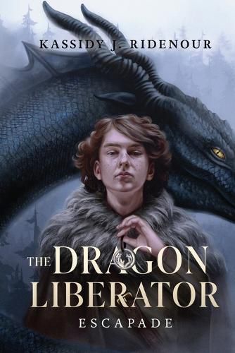 Cover image for The Dragon Liberator