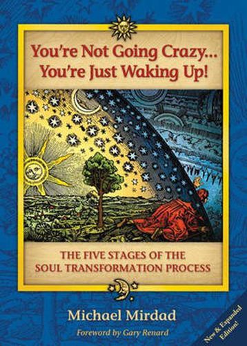 You'Re Not Going Crazy...You'Re Just Waking Up!: The Five Stages of Soul Transformation Process