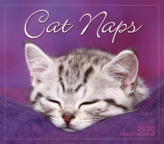 Cover image for Cat Naps 2019 Day-to-Day Calendar