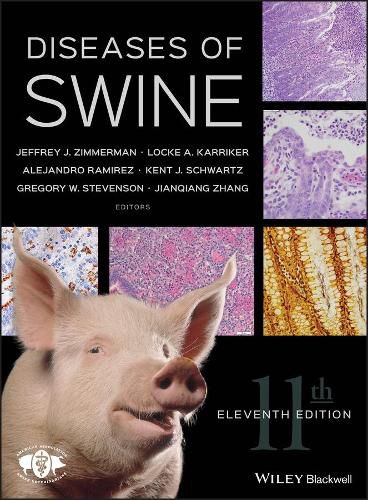 Cover image for Diseases of Swine, 11e