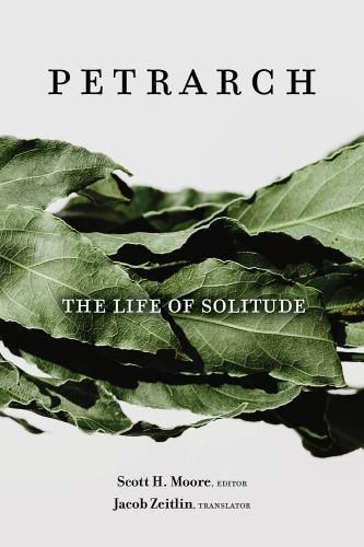 Cover image for The Life of Solitude