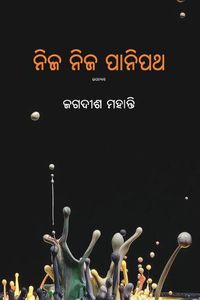 Cover image for Nija Nija Panipath