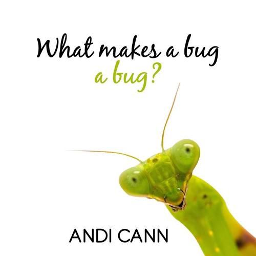 Cover image for What Makes a Bug a Bug?