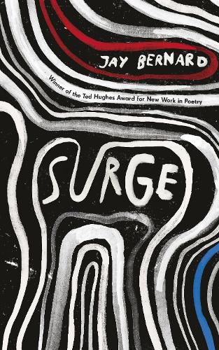 Cover image for Surge
