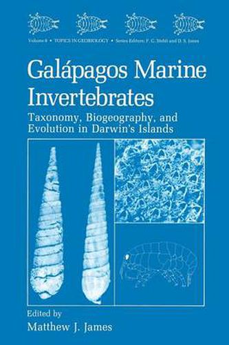 Cover image for Galapagos Marine Invertebrates: Taxonomy, Biogeography, and Evolution in Darwin's Islands