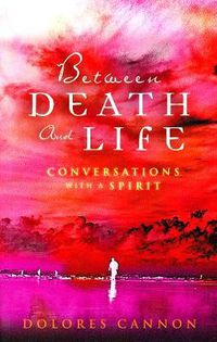 Cover image for Between Death and Life: Conversations with a Spirit
