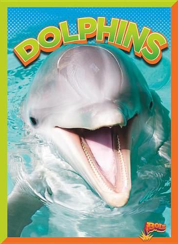 Dolphins