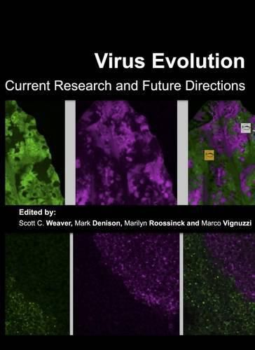 Virus Evolution: Current Research and Future Directions