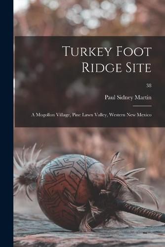 Cover image for Turkey Foot Ridge Site: a Mogollon Village, Pine Lawn Valley, Western New Mexico; 38