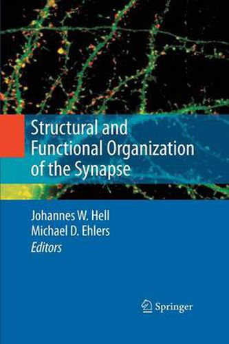 Cover image for Structural and Functional Organization of the Synapse