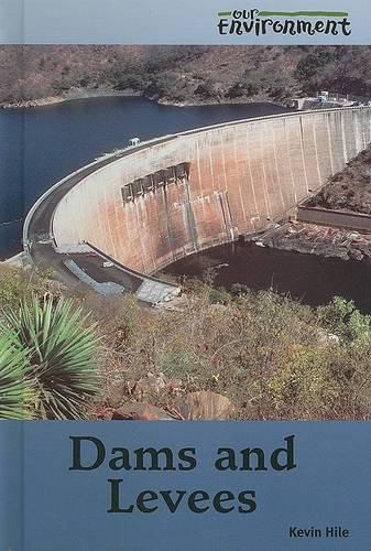 Cover image for Dams and Levees