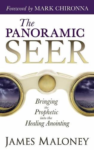 Cover image for The Panoramic Seer