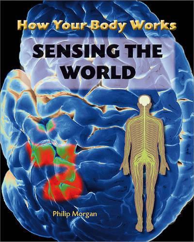 Cover image for Sensing the World