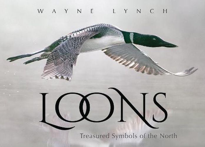 Cover image for Loons