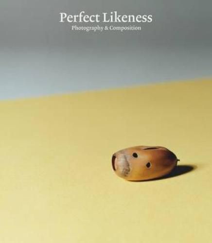 Cover image for Perfect Likeness
