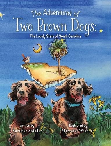 Cover image for The Adventures of Two Brown Dogs